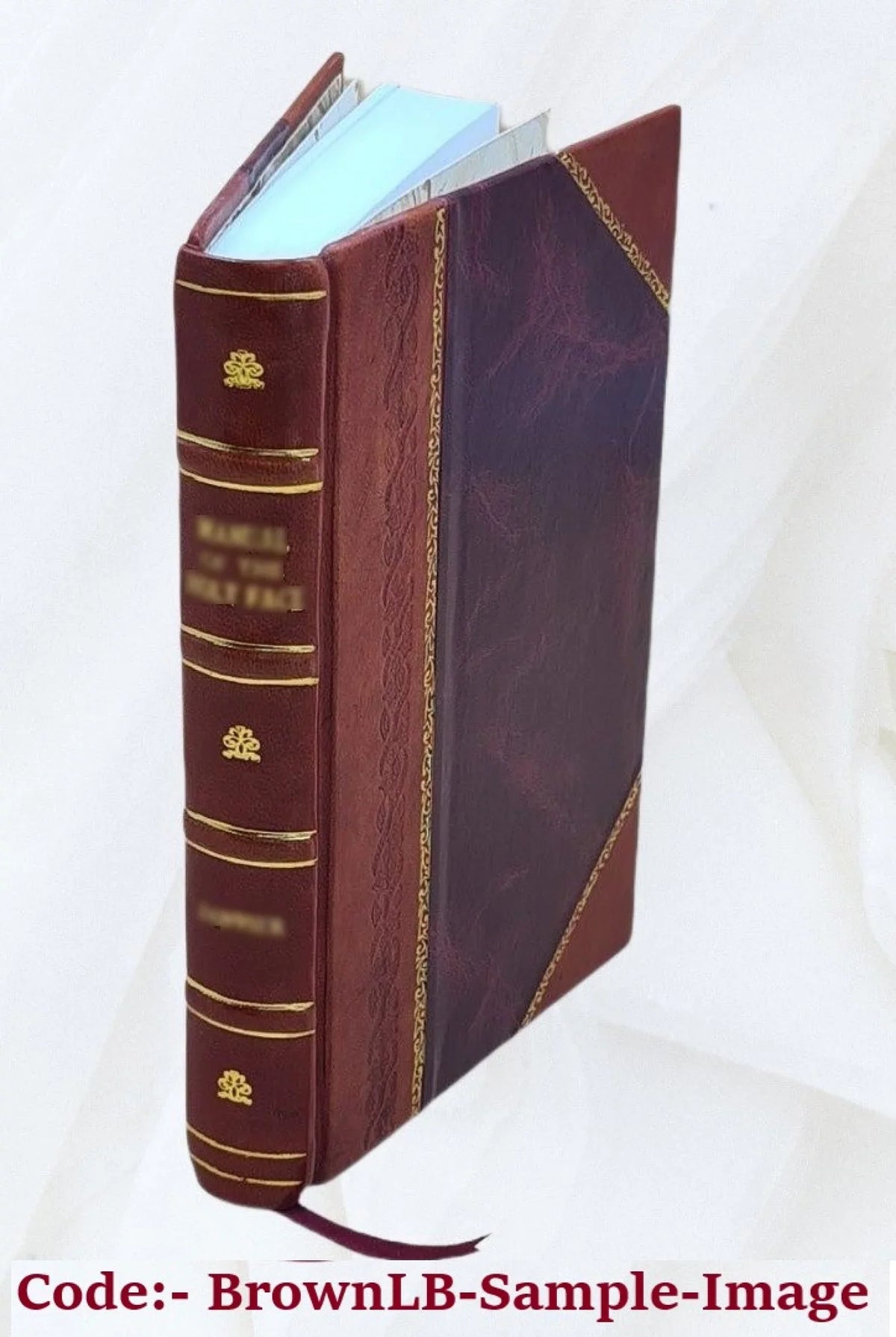 1905 [Leather Bound]. Lucas. V. by E. The open road; a little book for wayfarers, comp