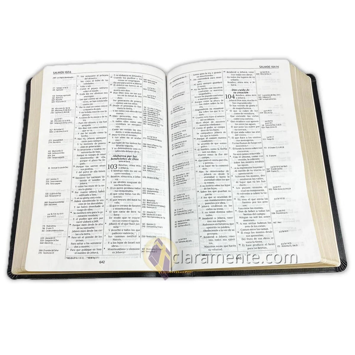 Biblia de Referencia Thompson, Reina Valera 1960, Piel Reciclada/ Spanish Thompson Chain Reference Bible, Reina Valera 1960, Recycled Leather Fibers (Other)